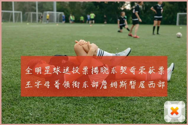 全明星球迷投票揭晓东契奇荣获票王字母哥领衔东部詹姆斯暂居西部第九