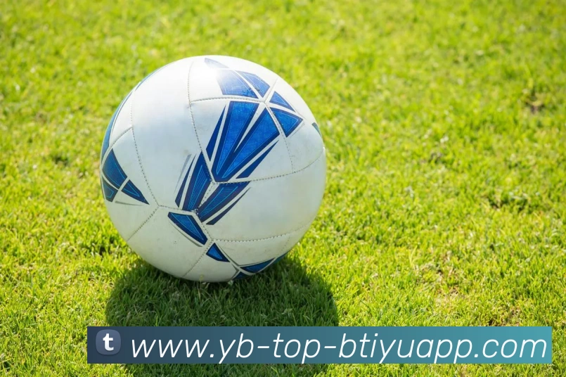 B体育APP 封面图